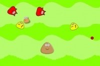 Aide les petits Pou Aide les petits Pou