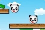 Amis du panda Amis du panda