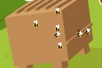 Apiculture Apiculture