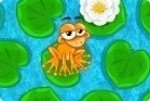 Attraper des grenouilles Attraper des grenouilles