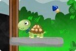 Aventure de tortue Aventure de tortue