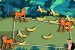 Bananes Cachées Bananes Cachées