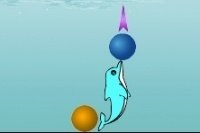 Bulles dauphin Bulles dauphin