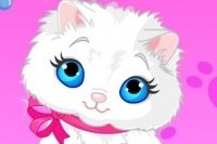Chaton prend son bain Chaton prend son bain