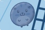 Chat Sushi Chat Sushi