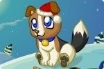 Chien mignon 2 Chien mignon 2