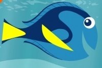 Coloriage Le Monde de Dory Coloriage Le Monde de Dory