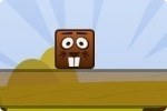 Cubes de castor Cubes de castor