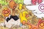 Différences du vilain petit canard Différences du vilain petit canard