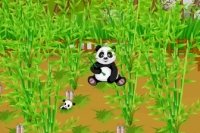 Ferme Panda Ferme Panda