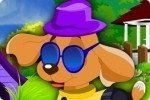 Habiller le chiot Habiller le chiot