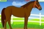 Jeu de cheval Jeu de cheval