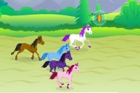 Jockey de poney Jockey de poney