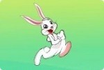 Lapin content Lapin content
