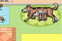 Maman Chien Maman Chien
