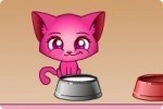 Mon chaton Mon chaton