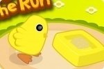 Petits poussins Petits poussins