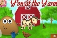 Pou à la ferme Pou à la ferme