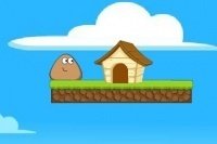 Pou à la maison Pou à la maison