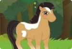 Quel poney es-tu ? Quel poney es-tu ?