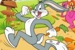 Ramasser les carottes Ramasser les carottes