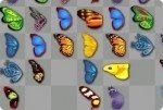Relier les papillons Relier les papillons