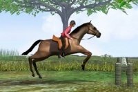 Saut à cheval Saut à cheval