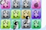 Sauver des pingouins Sauver des pingouins