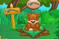 S’occuper des animaux de la forêt S’occuper des animaux de la forêt