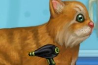 Soigne le Chat Soigne le Chat