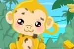 Soigner le singe Soigner le singe