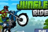 Trajet dans la jungle Trajet dans la jungle