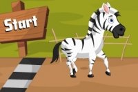 Zèbre qui fait la course Zèbre qui fait la course